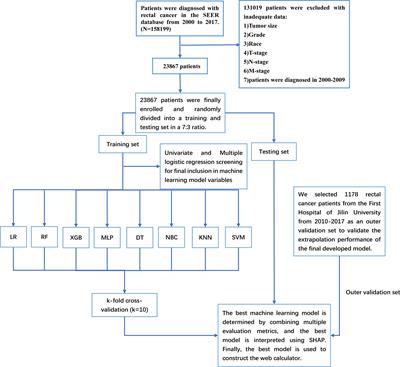 A machine learning-based model for predicting distant metastasis in patients with rectal cancer